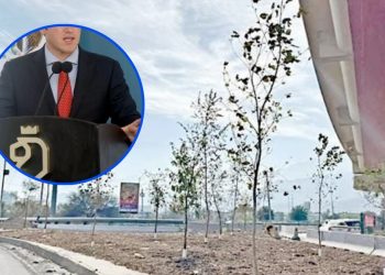 Exigen Transparencia en Uso de Recursos de Reforestación