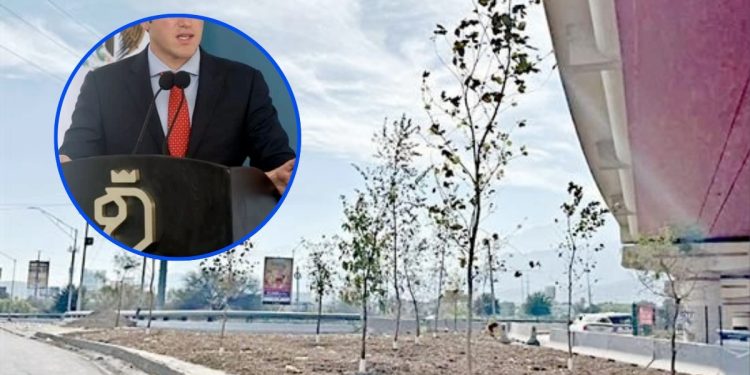 Exigen Transparencia En Uso De Recursos De Reforestación › Regiadísticas Exigen Transparencia En Uso De Recursos De Reforestación › Regiadísticas