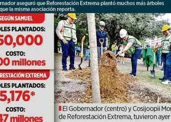 La Controversia Sobre La Reforestación De Samuel García
