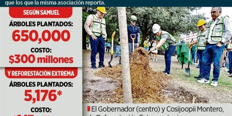 La Controversia Sobre La Reforestación De Samuel García › Regiadísticas La Controversia Sobre La Reforestación De Samuel García › Regiadísticas