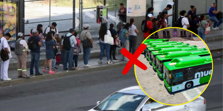 Regiadisticas › Regiadísticas › Regiadísticas