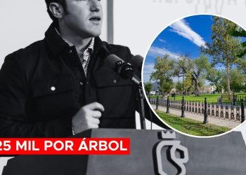 Samuel Derrocha 125 Mil Pesos Por Árbol En Proyecto De Reforestación En La Alameda