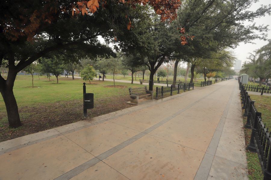 Image › Regiadísticas La Reforestación En La Alameda Costó 38 Mdp Por 308 árboles, Cada Uno En 125 Mil Pesos, Generando Críticas Por Gasto Excesivo E Injustificado.