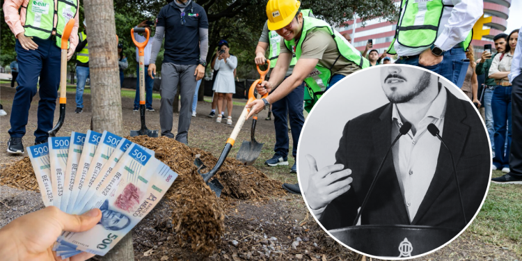 Secretaria Ambiental › Regiadísticas Secretaria Ambiental › Regiadísticas