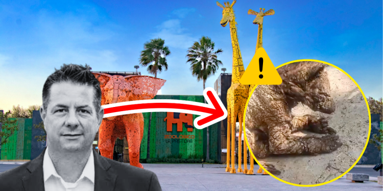 La Pastora › Regiadísticas