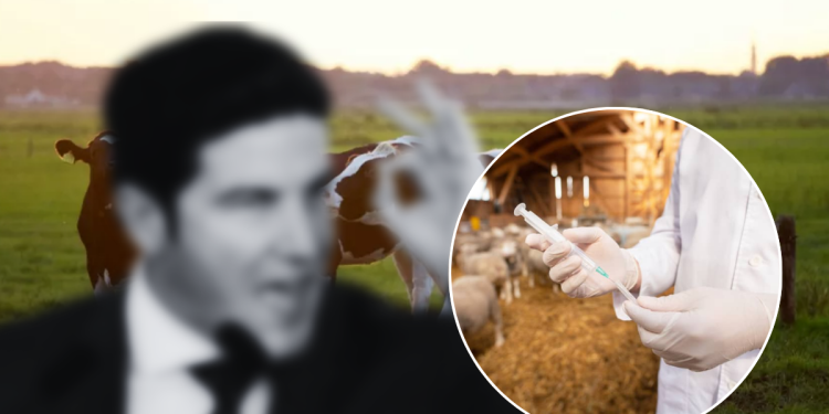 Gusano Barrenador › Regiadísticas