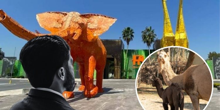 Denuncia Saqueo Animales La Pastora › Regiadísticas Denuncia-saqueo-animales-la-pastora › Regiadísticas