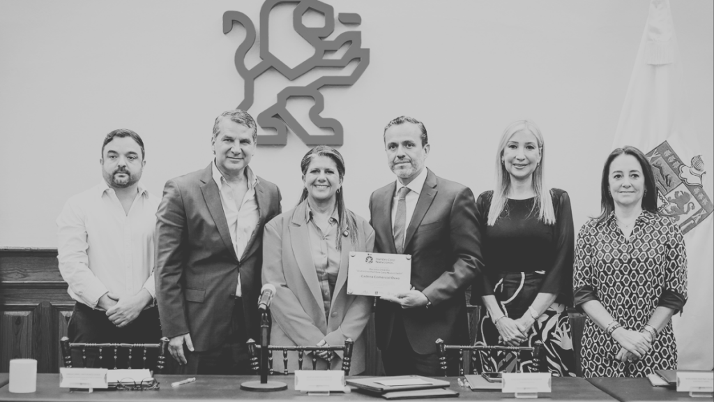 Consejo Cívico › Regiadísticas Consejo Cívico, Secretaría De Igualdad, Gobierno Estatal, Hambre Cero, Martha Herrera, 100 Millones, Sociedad Civil