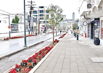 Mal-olor-a-drenaje-agua-y-drenaje-san-pedro-red-sanitaria-nuevo-león › Regiadísticas