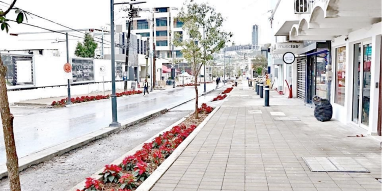 Mal-olor-a-drenaje-agua-y-drenaje-san-pedro-red-sanitaria-nuevo-león › Regiadísticas