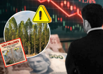 Fraude En Reforestación › Regiadísticas Fraude-en-reforestación-árboles-fantasmas-alameda-engaño-ambiental-gastos-millonarios › Regiadísticas