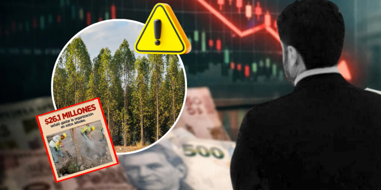 Fraude-en-reforestación-árboles-fantasmas-alameda-engaño-ambiental-gastos-millonarios › Regiadísticas
