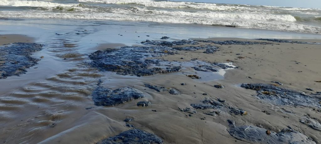 Consecuencias Del Derrame De Petróleo En Playas De México