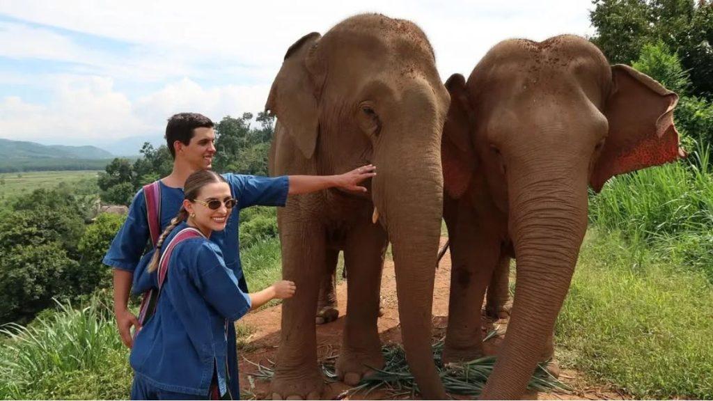 Two Young Travelers in Blue Outfits Pet and Stroke Two Elephants on a Dirt Path in a Green, Hilly Landscape. › Regiadísticas