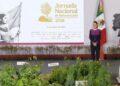 Jornada Nacional De Reforestación › Regiadísticas