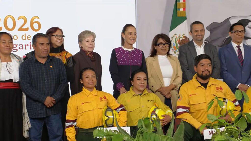 Reforestacion-nacional-en-mexico › Regiadísticas Programa De Reforestación › Regiadísticas