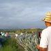 La Expansión Del Agave En Jalisco › Regiadísticas La Expansión Del Agave En Jalisco › Regiadísticas